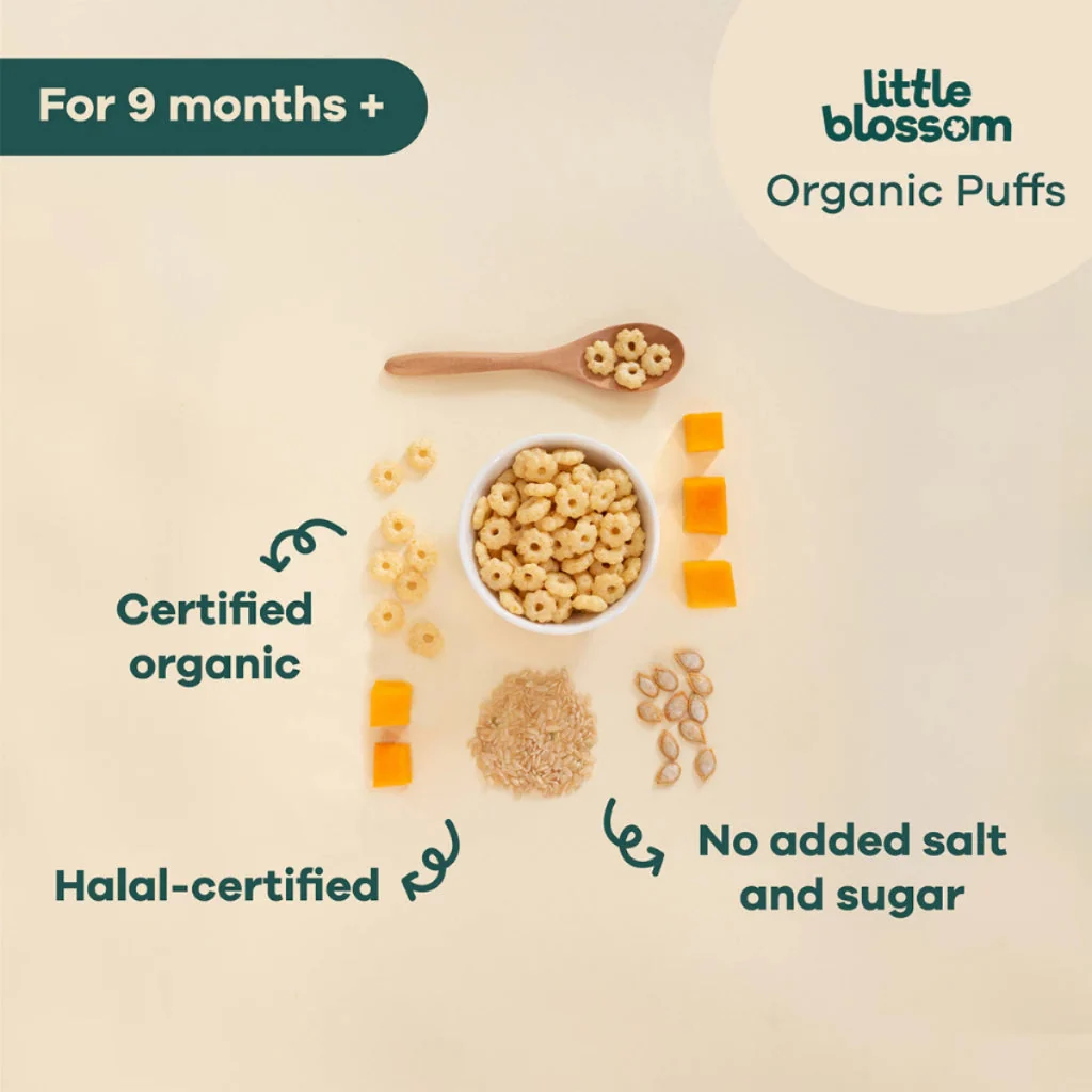 LITTLE BLOSSOM RICE PUFFS APPLE &  BROCCOLI 40G - Image 3