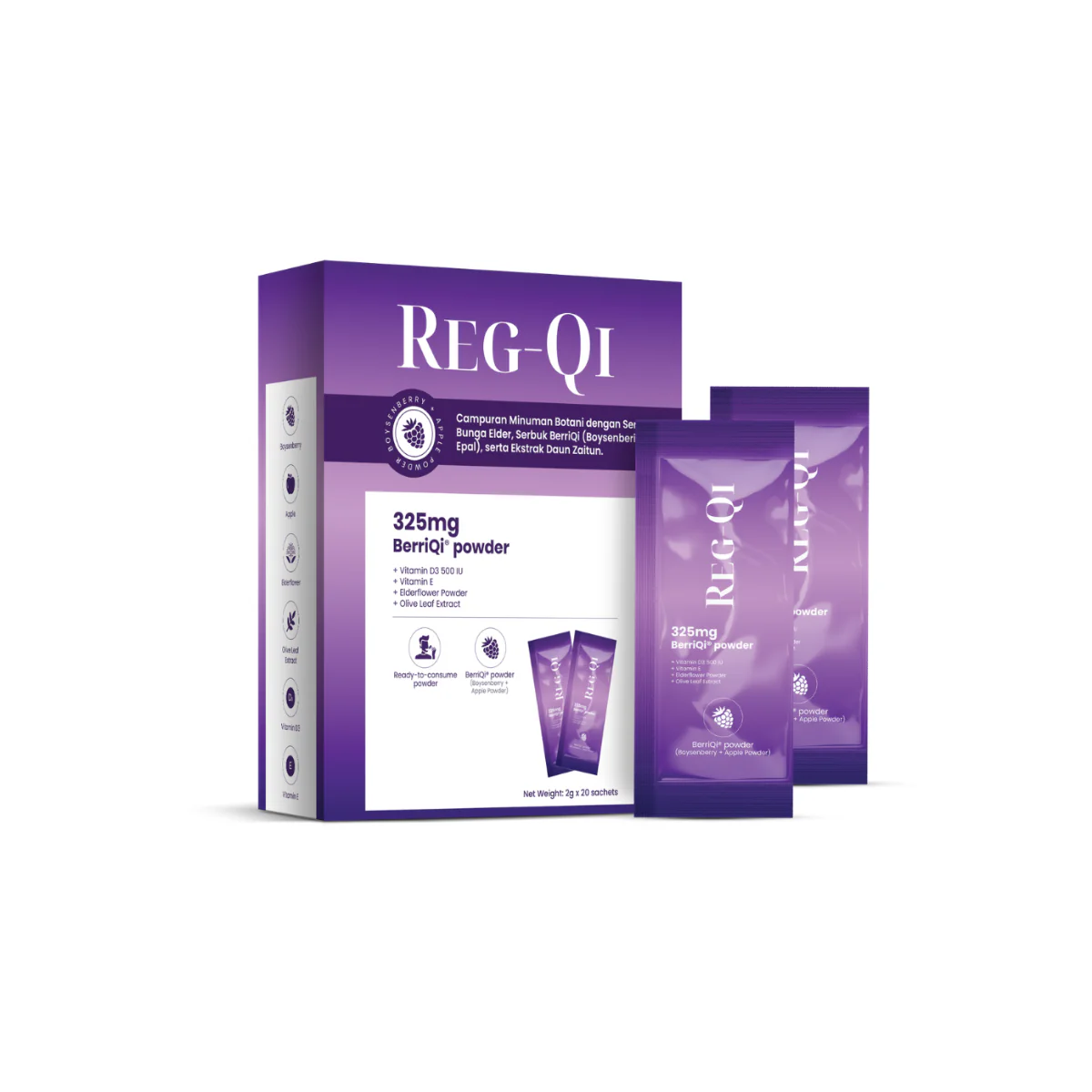 REG-QI 2G 20S